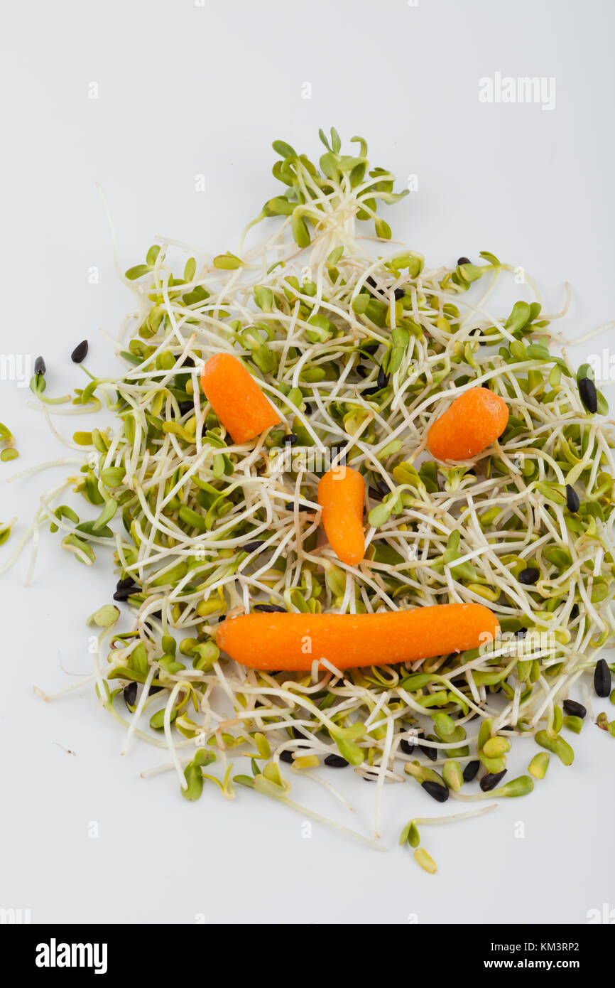 Fresh alfalfa sprouts and carrot isolated on white background Stock