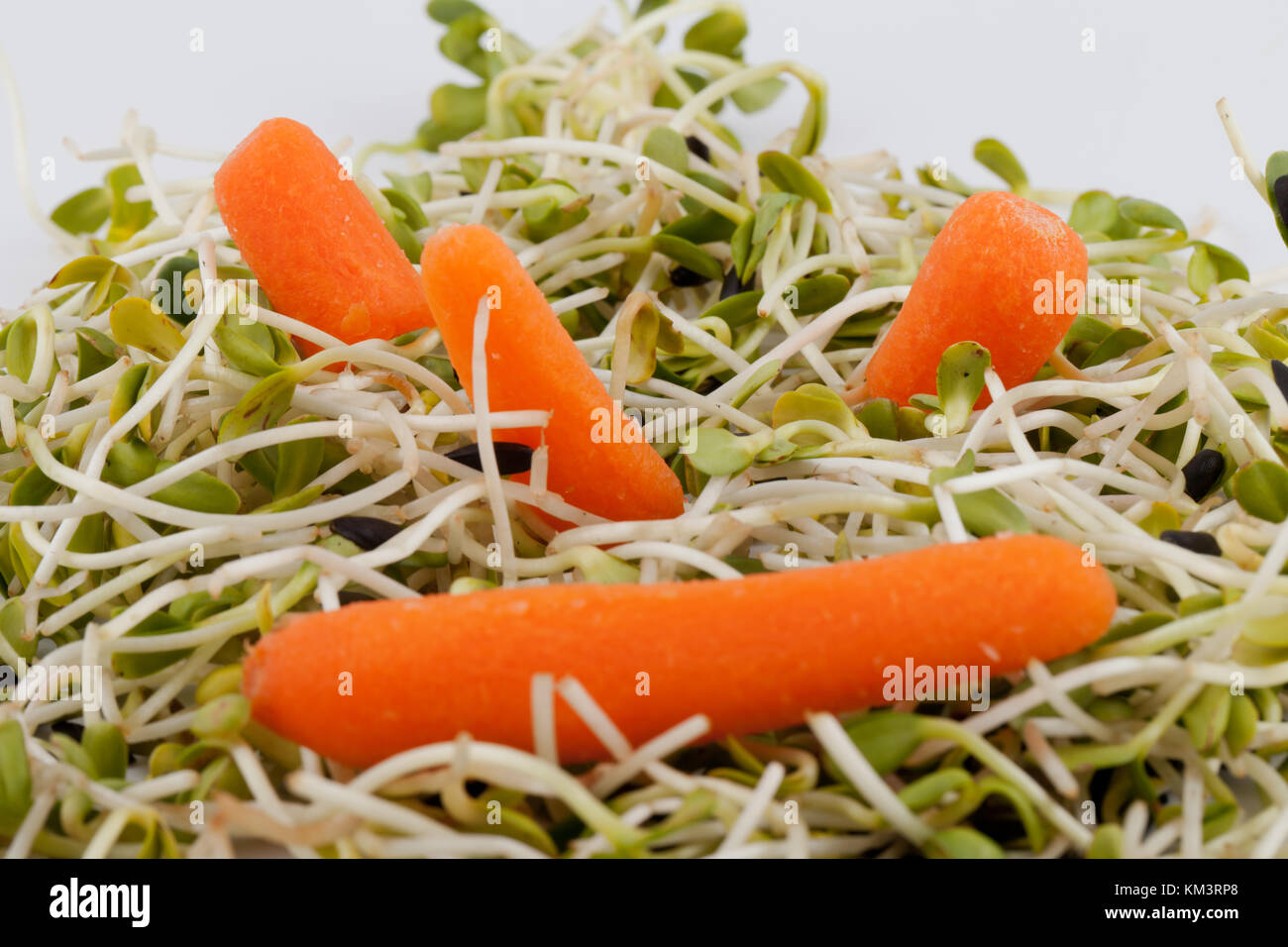 Fresh alfalfa sprouts and carrot isolated on white background Stock