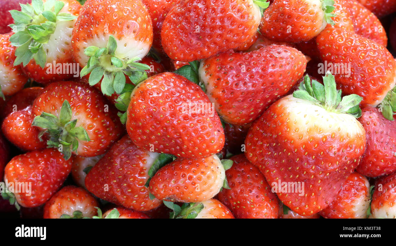 macro photography of red very big ripe strawberries Stock Photo - Alamy
