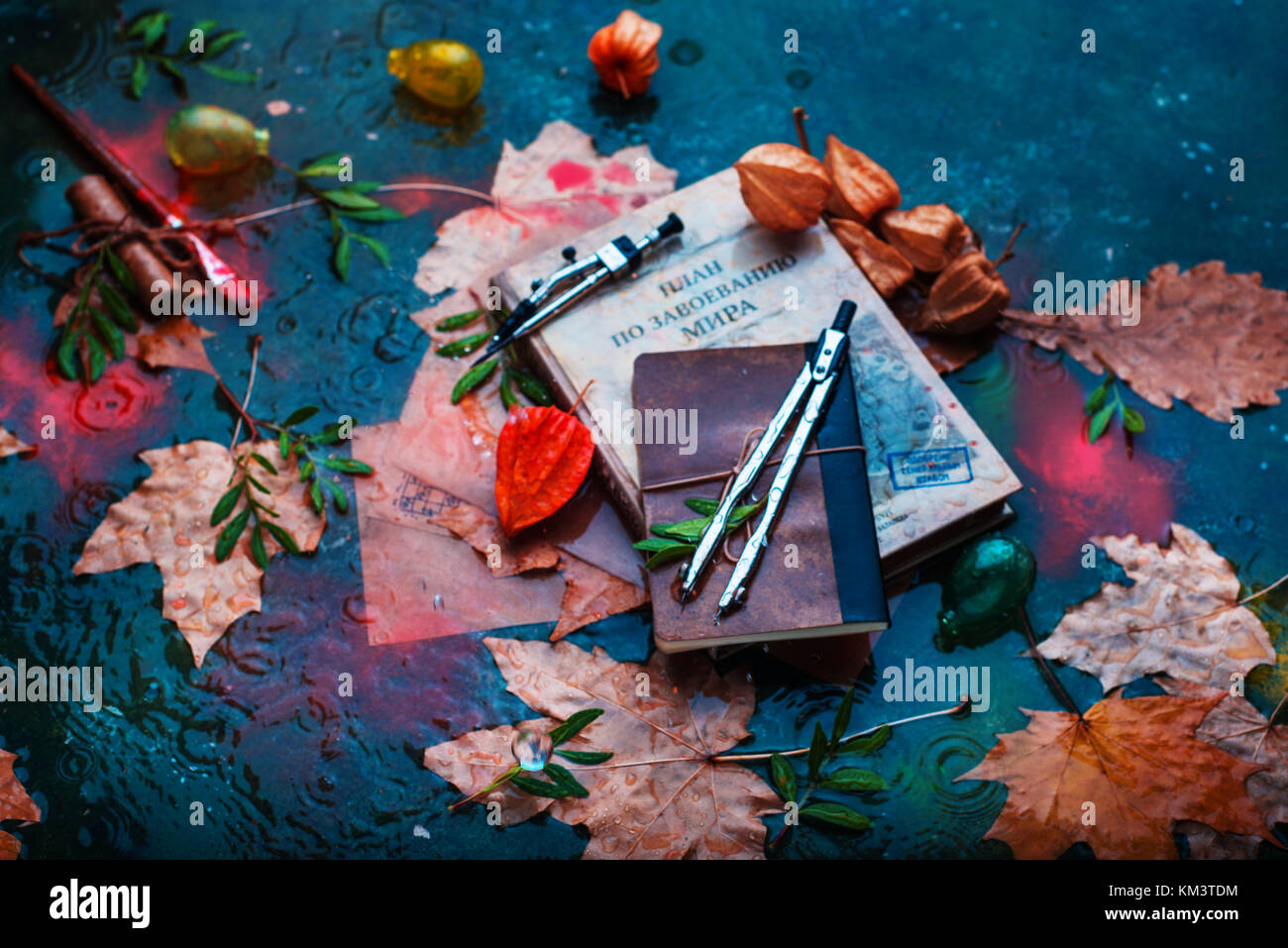Rainy Autumn Still Life With Books Fallen Leaves Drawing Compasses Stock Photo Alamy