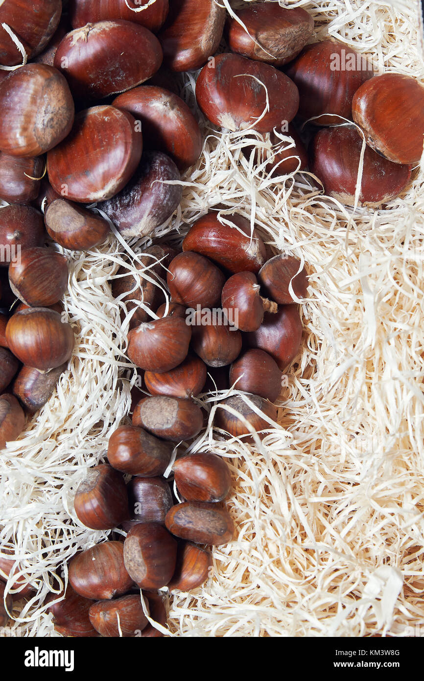 Raw chestnuts (Castanea) in a crate. Top view Stock Photo Alamy
