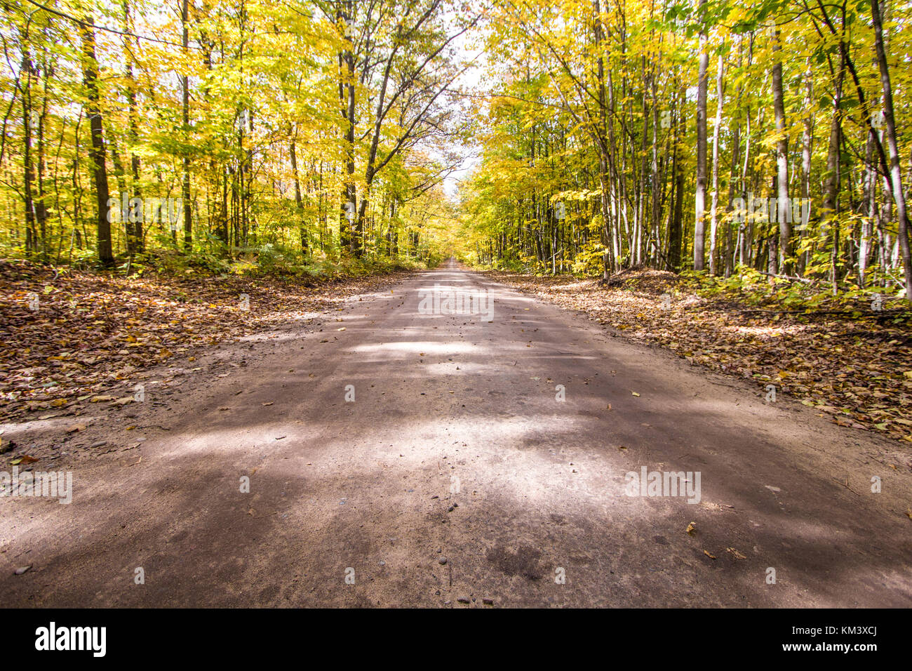 Down The Dirt Road. Autumn forest with dirt road diminishing through the beautiful forest to the distant horizon. Hiawatha National Forest in Michigan Stock Photo