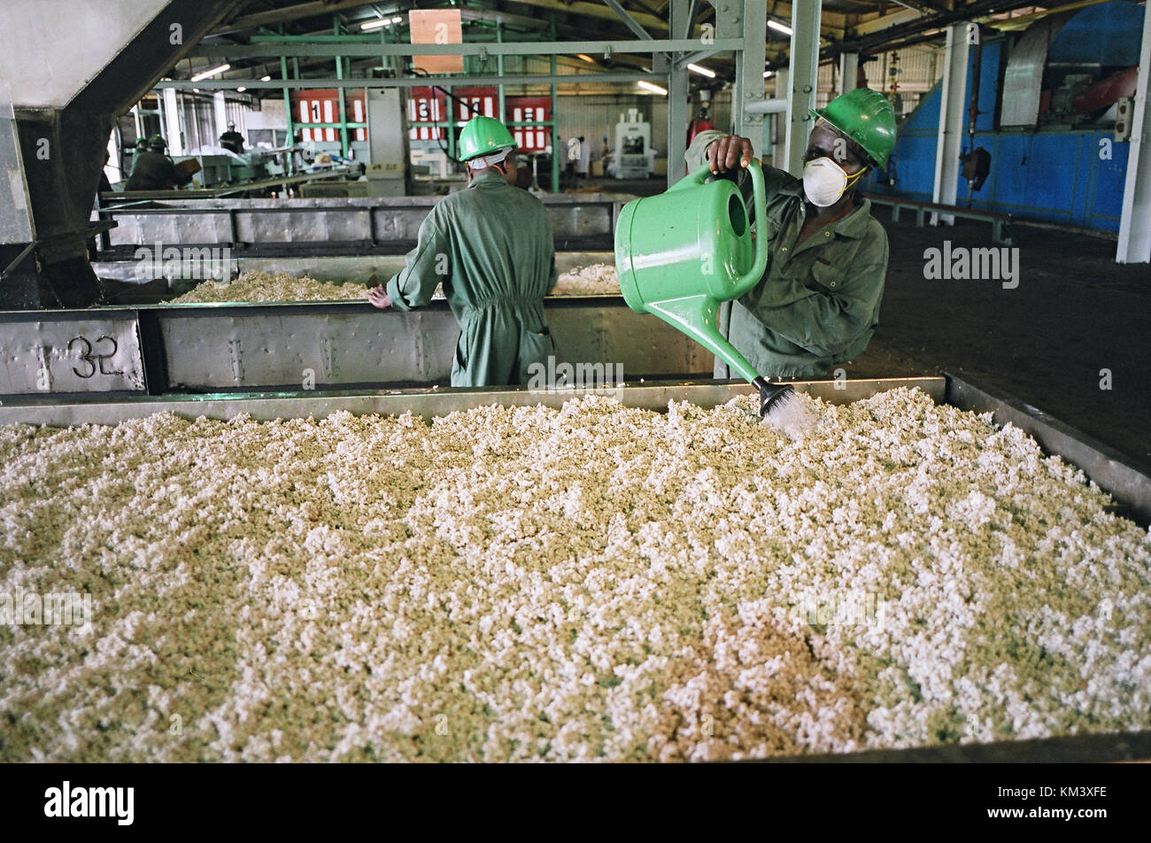Workers at rubber production factory, Torkwa, South Ghana, West Africa