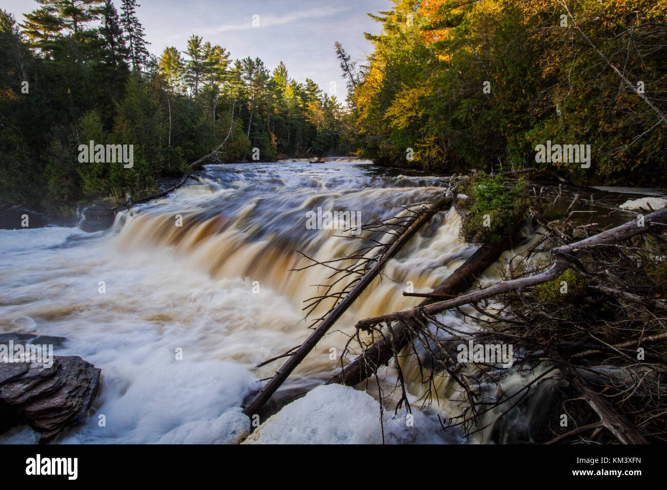 Upper Peninsula Waterfall. Scenic Lower Tahquamenon Falls rushes through the wilderness forest of the Upper Peninsula in Michigan. Stock Photo