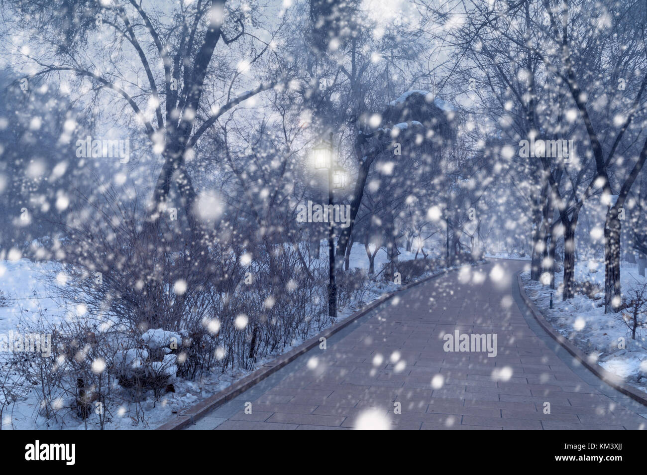 beautiful snowfall in winter park with glowing lantern Stock Photo - Alamy