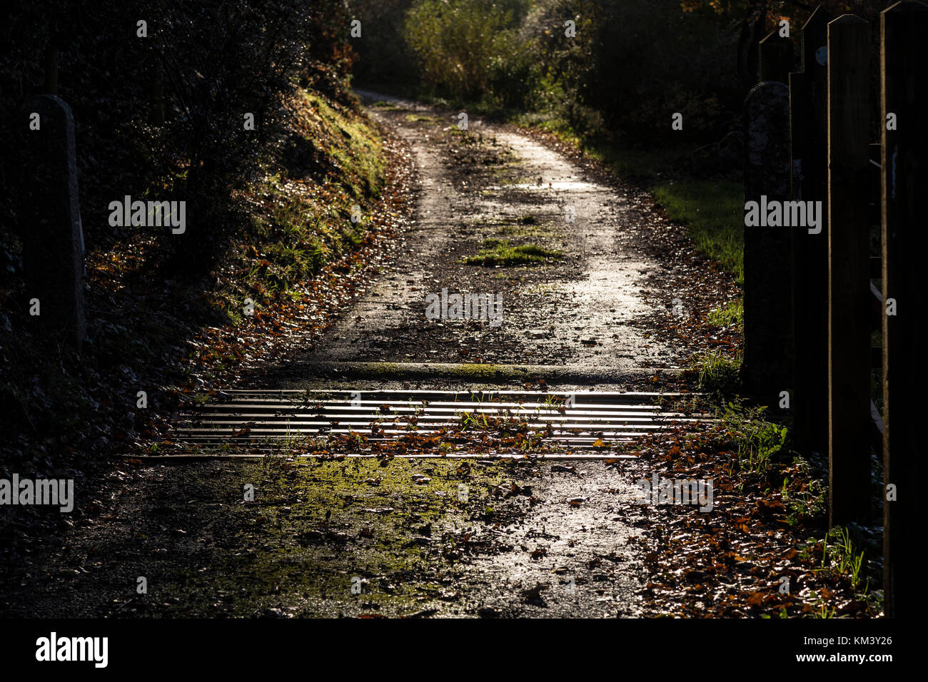 byroad, byway, bridleway, bridle path, path, pathway, footpath, way, towpath, trail, track, road, street, alley, alleyway, roadway, passage, thoroughf Stock Photo