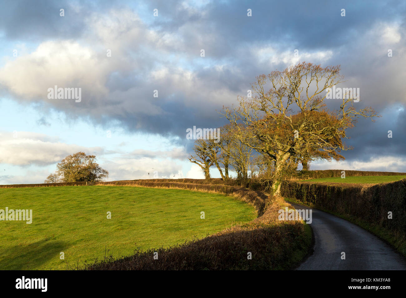 Teign valley darrmoor hires stock photography and images Alamy
