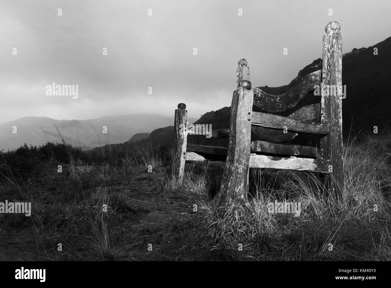 Giants chair hires stock photography and images Alamy