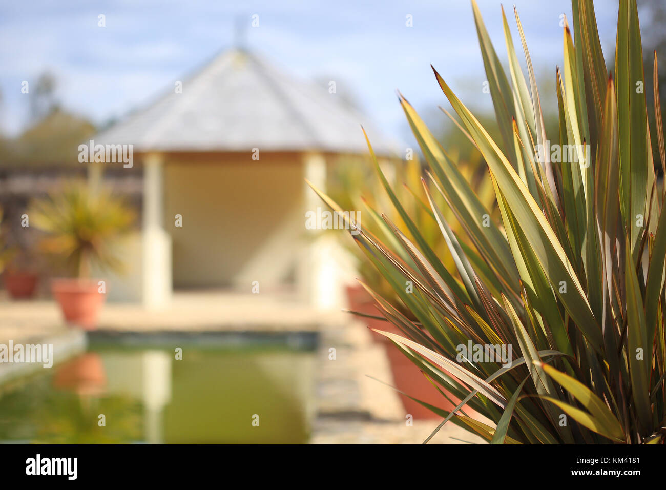 Beautiful, sunny Italianate garden with soft-focus summerhouse, pool & plant pots in background & sharp pampas plant (Cortaderia selloana) foreground. Stock Photo