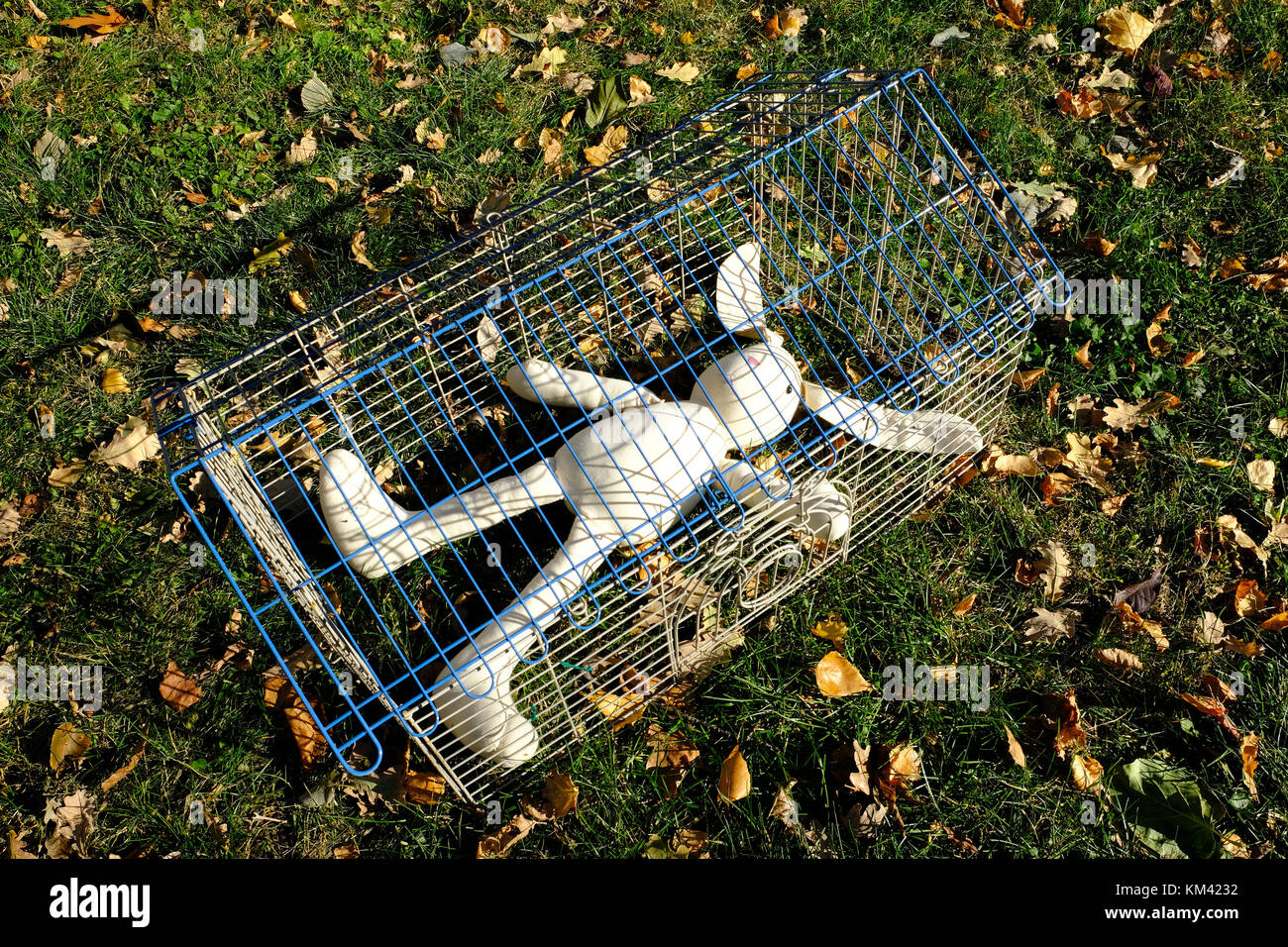 Toy Bunny Rabbit High Resolution Stock Photography and Images Alamy