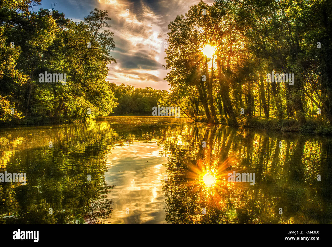 Sunbeams through trees Stock Photo