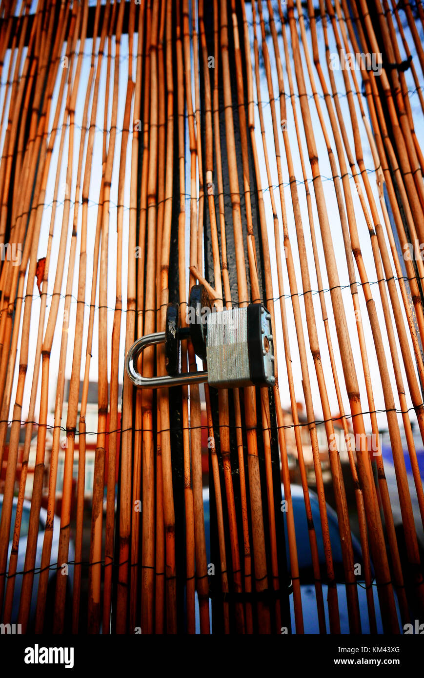 Steel padlock on thin bamboo curtain Stock Photo
