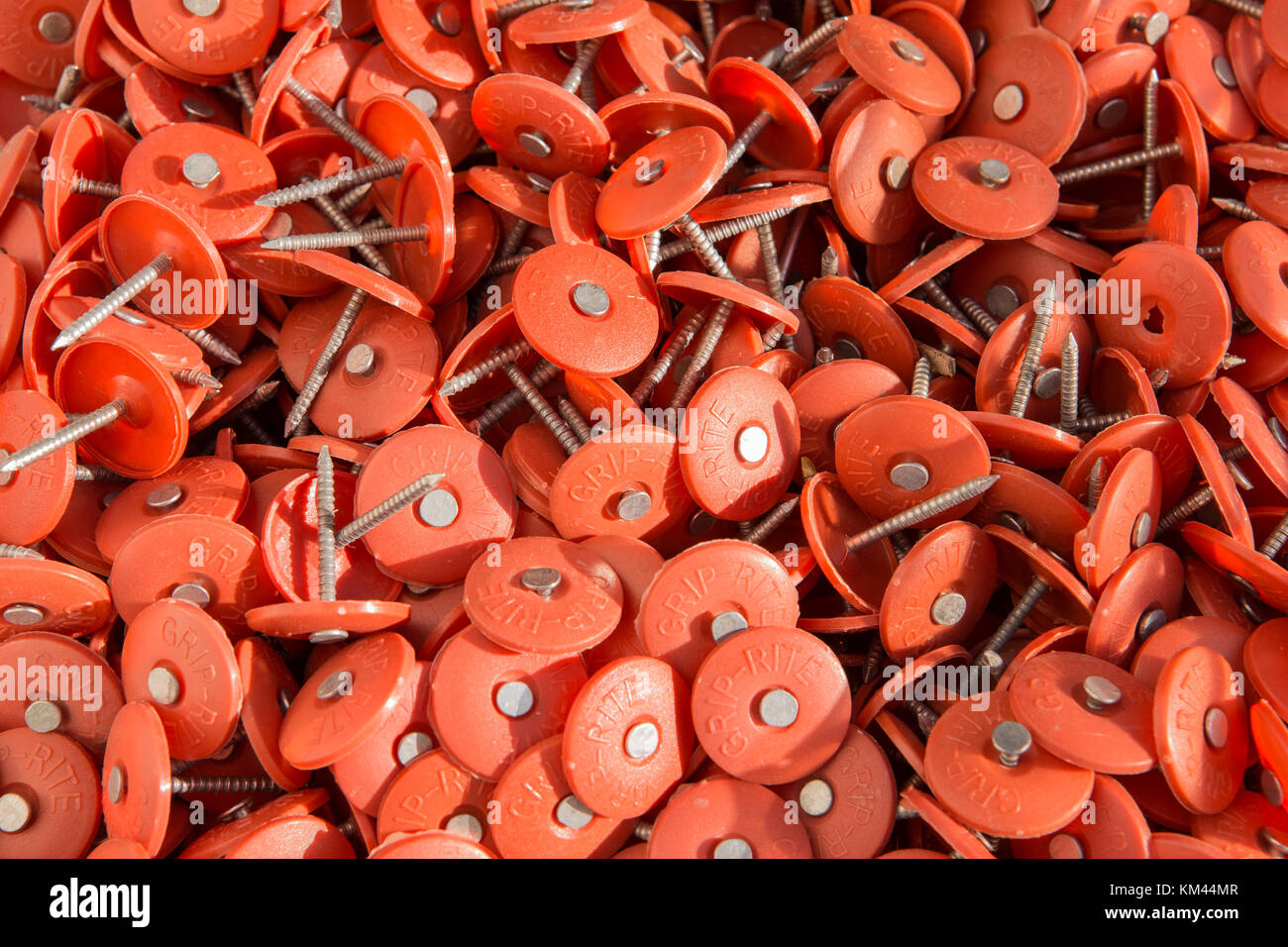Orange Grip-rite nails. For anchoring housewrap, sheathing, and felt. Wide head and ringed shank for greater holding power. Stock Photo