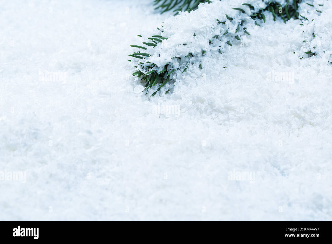 Christmas fir tree frame on white snow background. Free space Stock ...