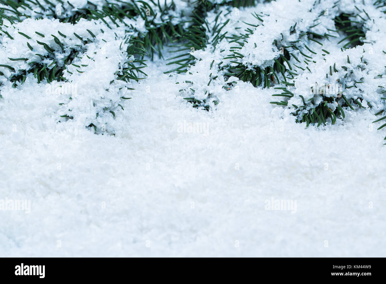 Christmas fir tree frame on white snow background. Free space Stock ...