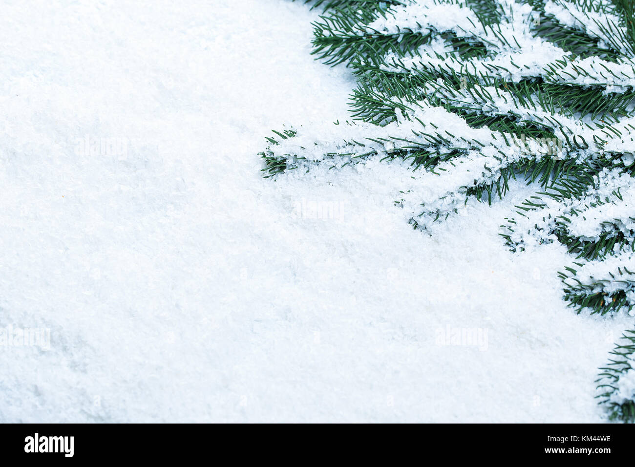Christmas fir tree frame on white snow background. Free space Stock ...