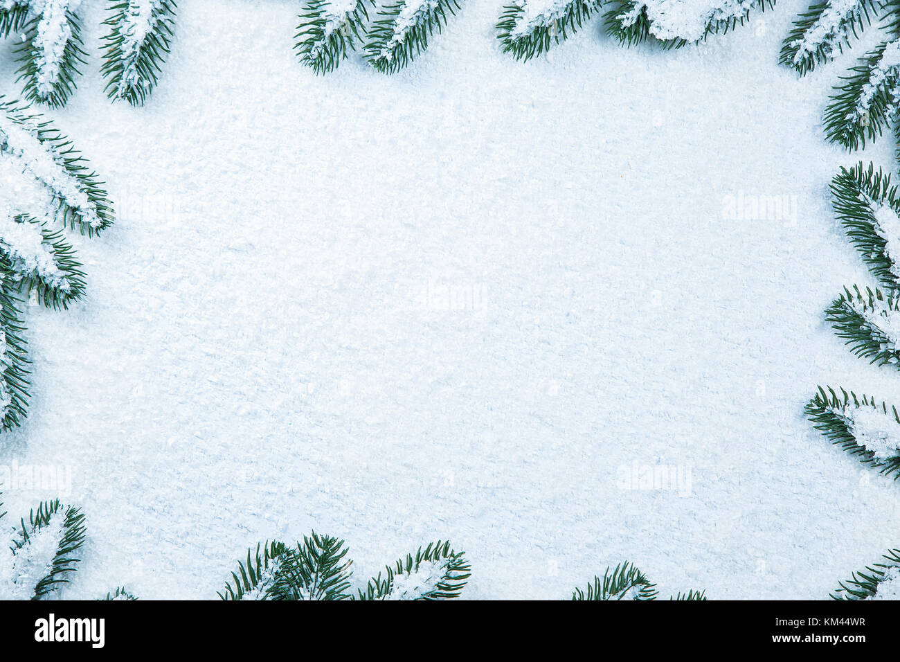 Christmas fir tree frame on white snow background. Free space Stock ...