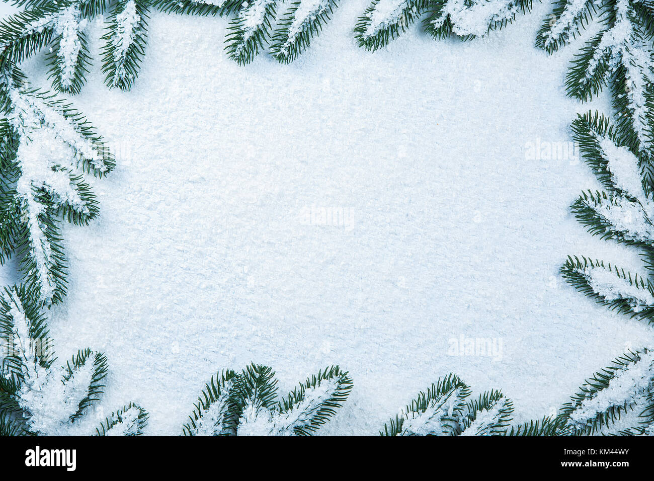 Christmas fir tree frame on white snow background. Free space Stock ...