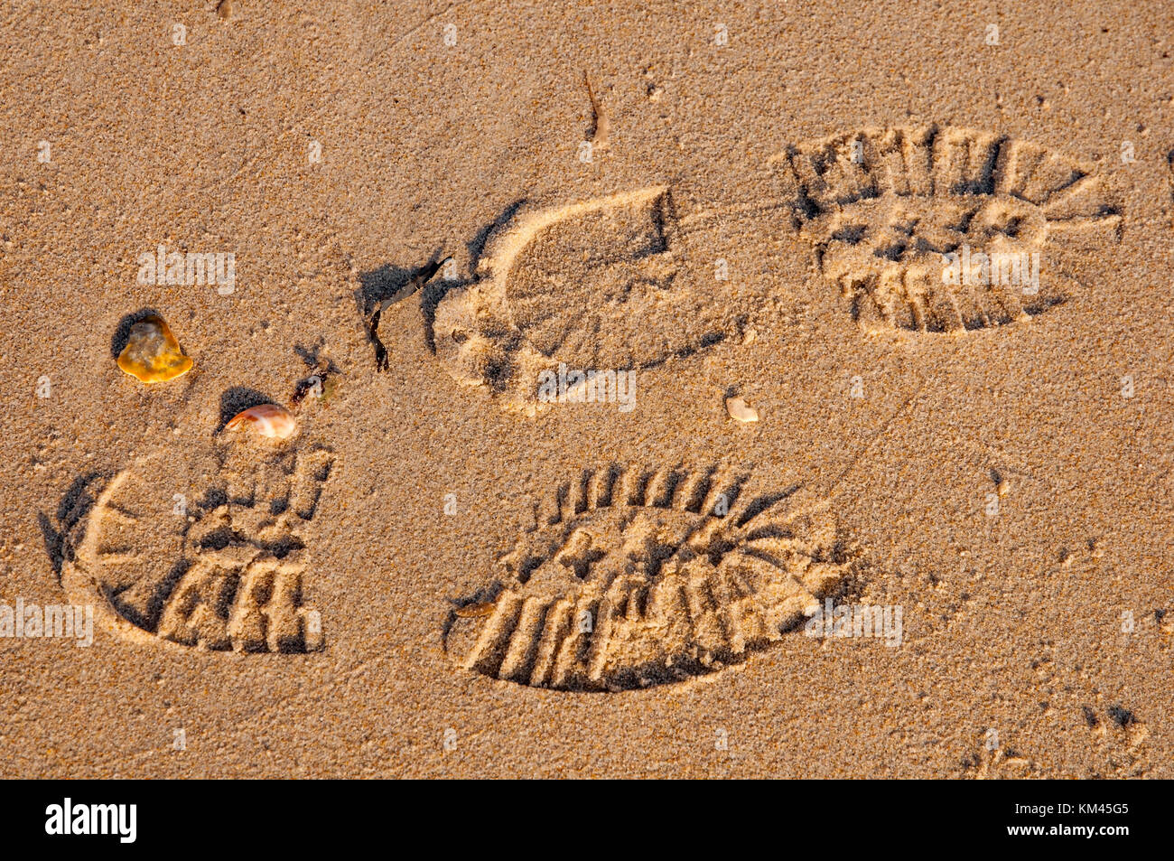 Shoe Footprints Sand