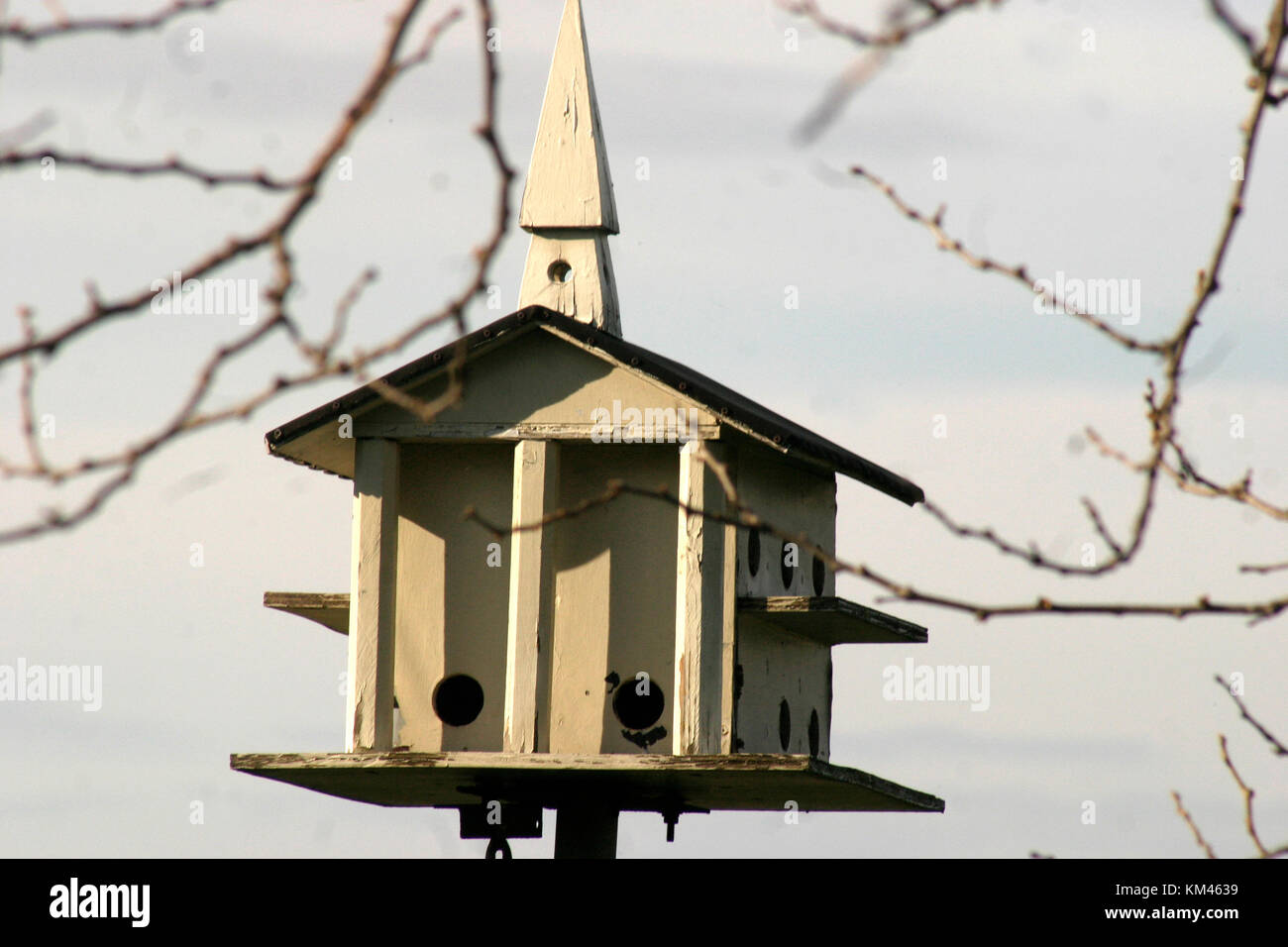 Birdhouse hanging from tree Stock Photo Alamy