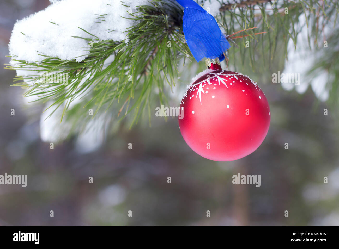 Christmas tree in snow forest with red ball background Stock Photo - Alamy