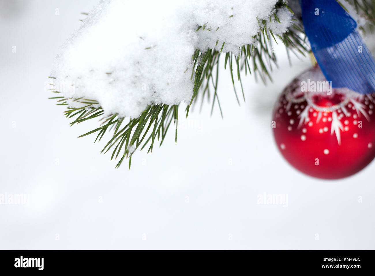 White snow on fir branch with red christmas ball in winter park outdoor ...
