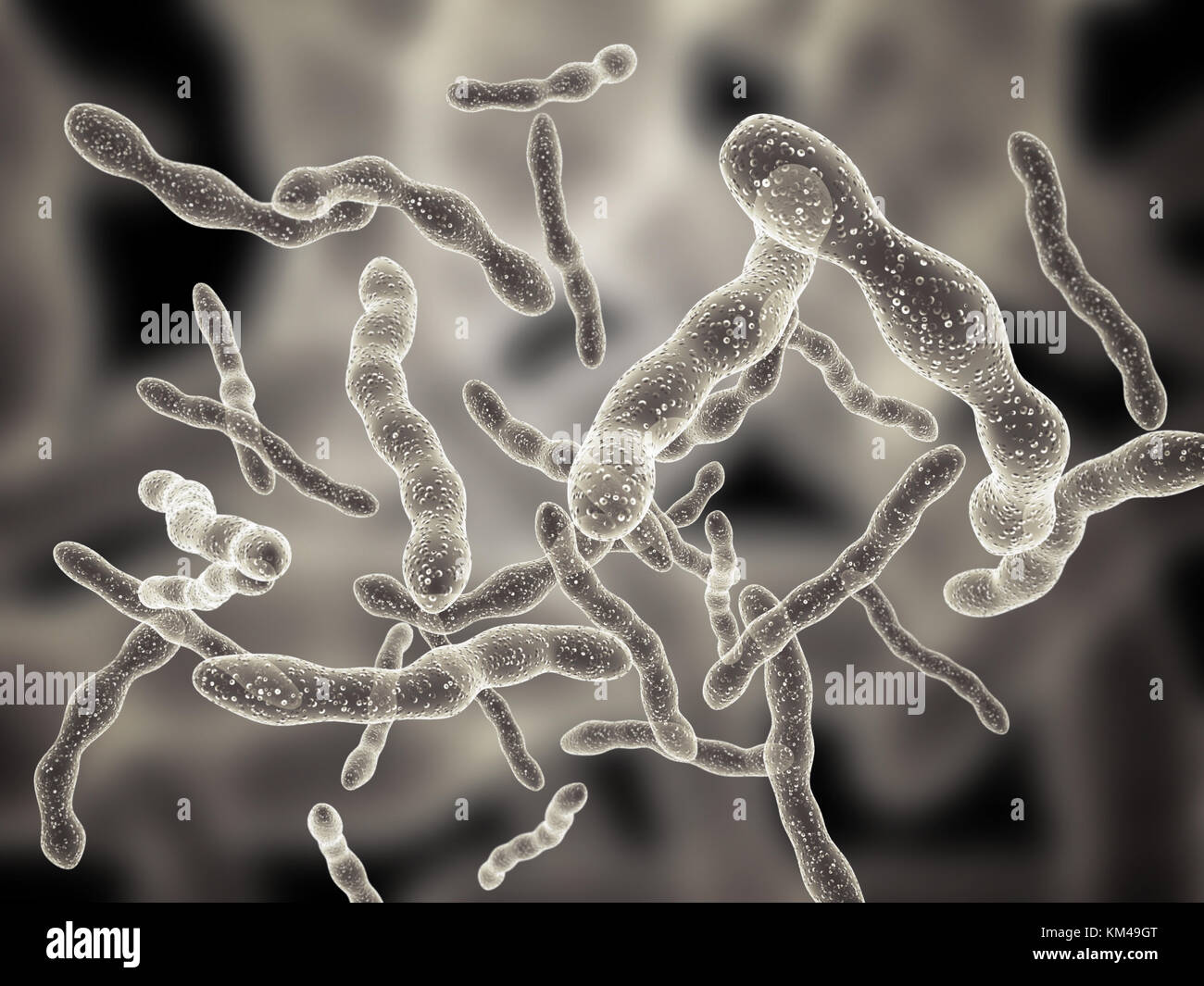 Aprender sobre 79+ imagem fotos de bactérias reais - br.thptnganamst.edu.vn
