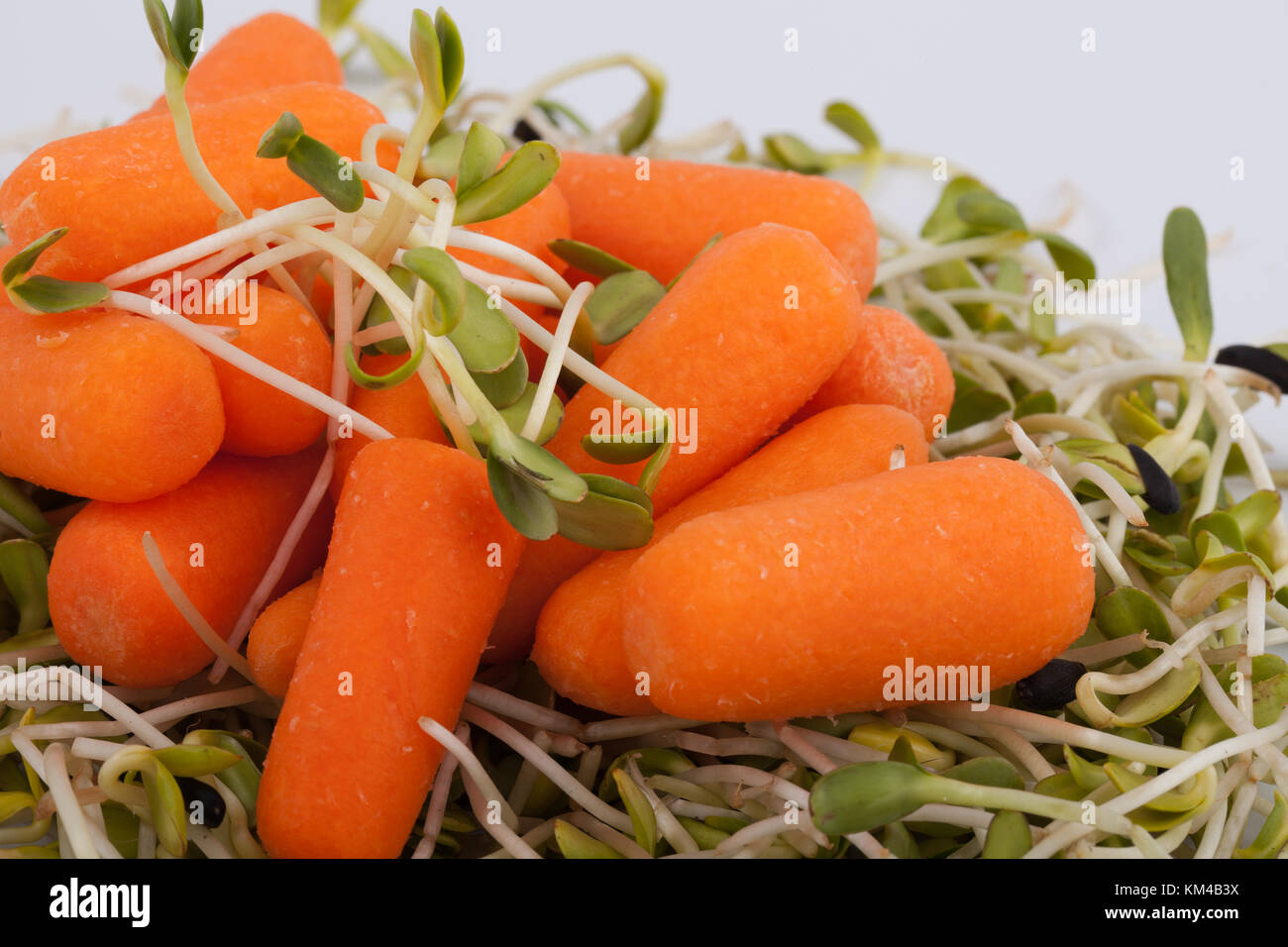 Fresh alfalfa sprouts and carrot isolated on white background Stock