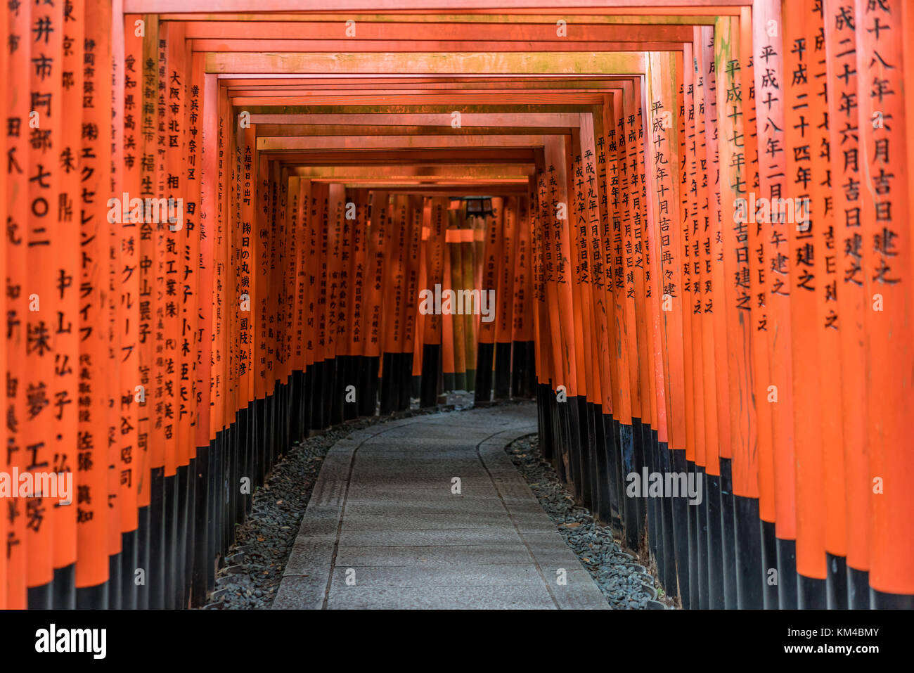 Curved corridor of Red Torii gates at Fushimi Inari Taisha Shinto ...