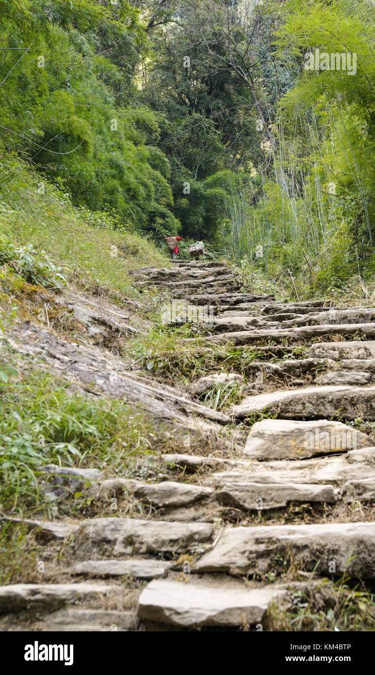 Trekking Ramp Down Climbing or descent on the trekking trails in the Annapurna area ...