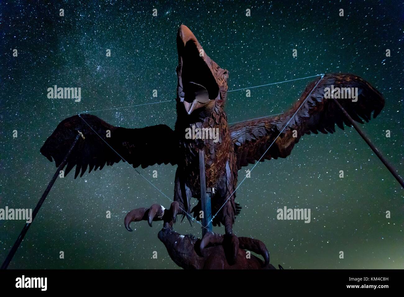 Supersized Wind God Bird sculpture standing out against the starry