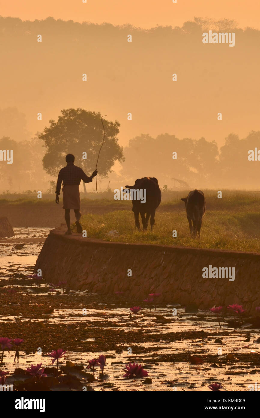 Good morning village images hi-res stock photography and images ...