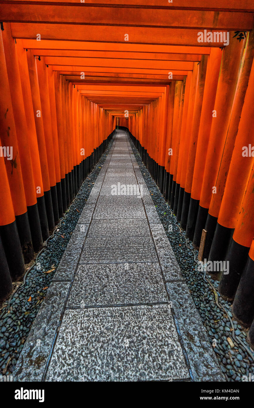 Corridor of Red Torii gates at Fushimi Inari Taisha Shinto shrine ...