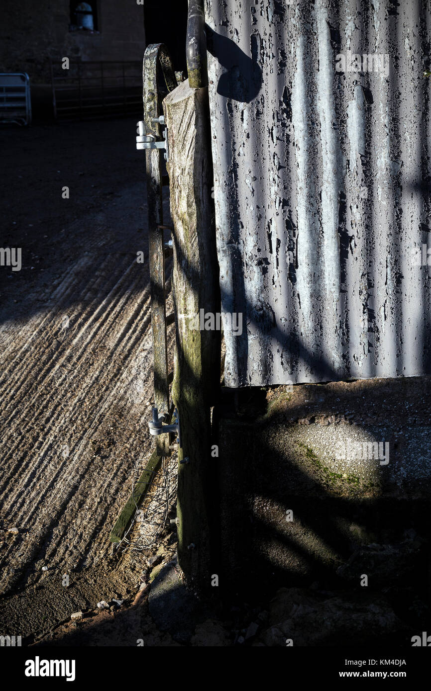 joist, purlin, girder, spar, support, strut, stay, brace, scantling ...