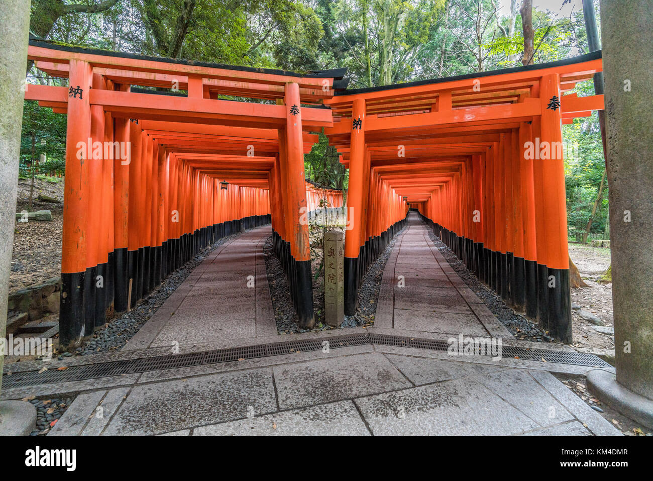 Paths of Red Torii gates at Fushimi Inari Taisha Shinto shrine, Fushimi ...