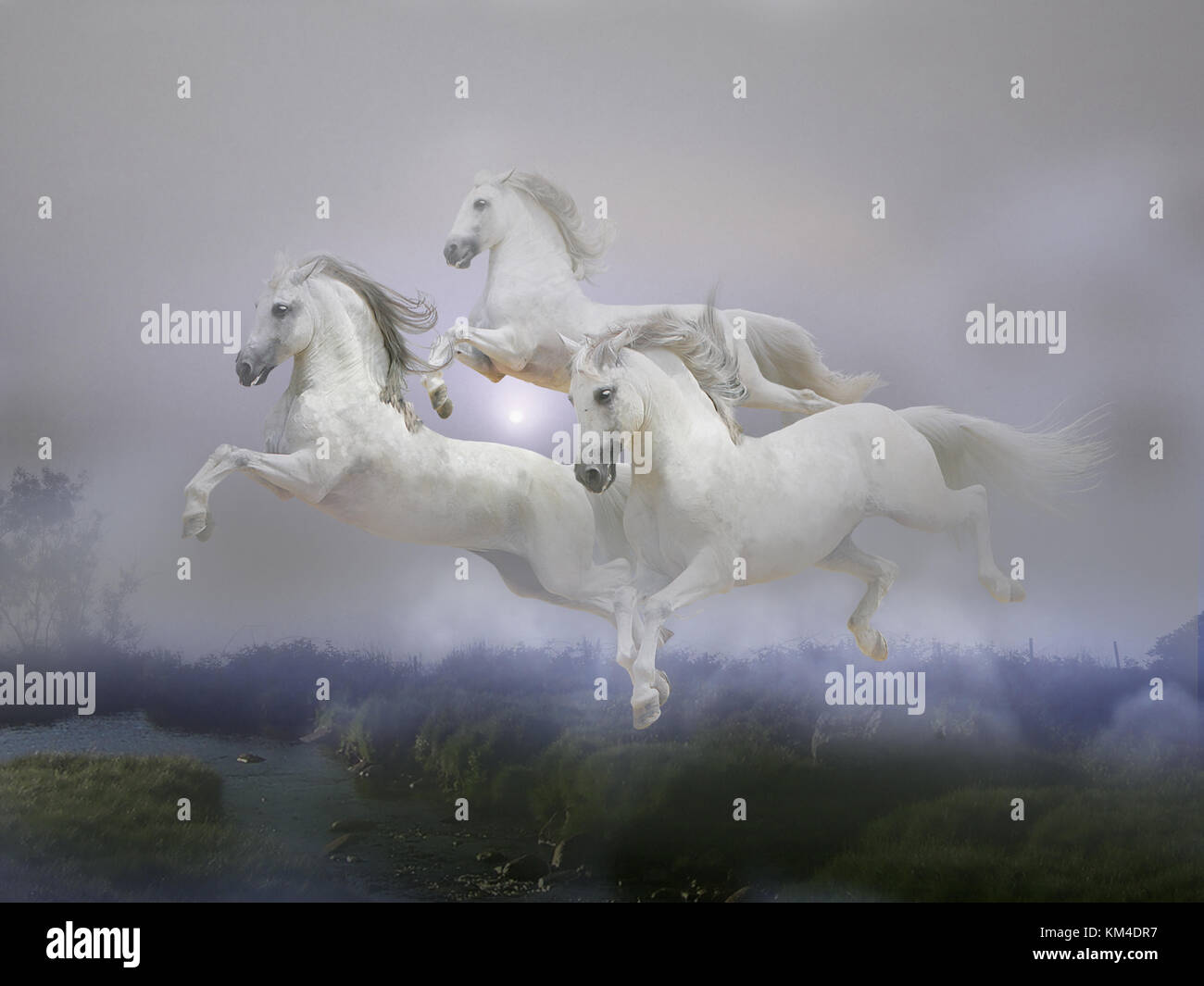 Flying horses hires stock photography and images Alamy