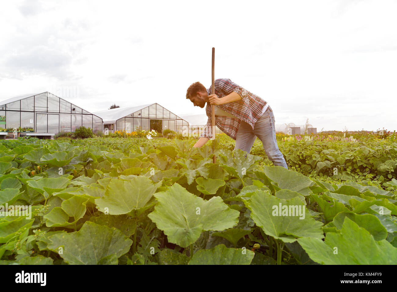 Gartner in der landwirtschaft hires stock photography and images Alamy