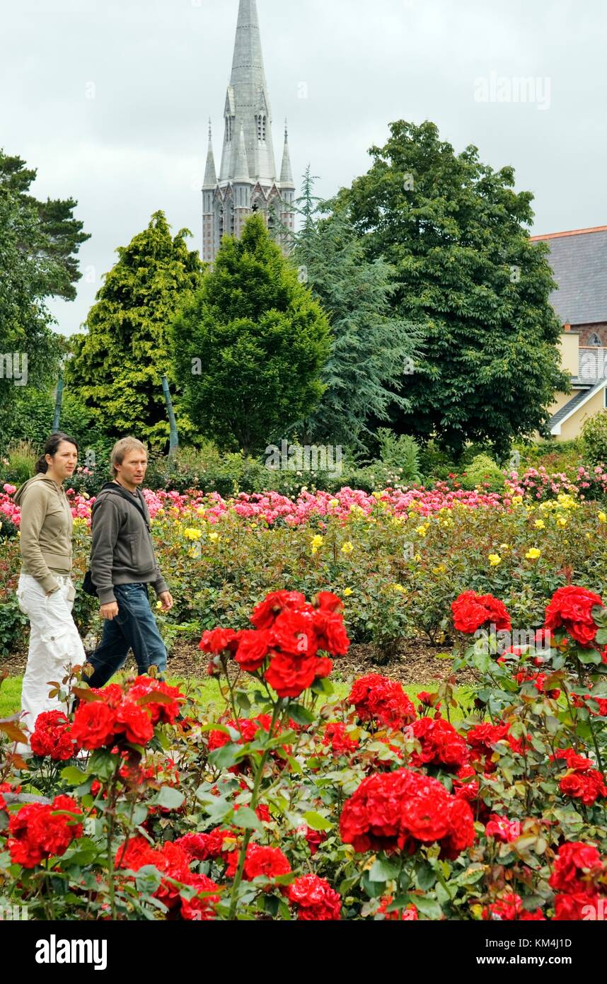 The rose gardens in the Town Park in Tralee, host town of the annual “Rose of Tralee” Festival. County Kerry, Ireland. Stock Photo