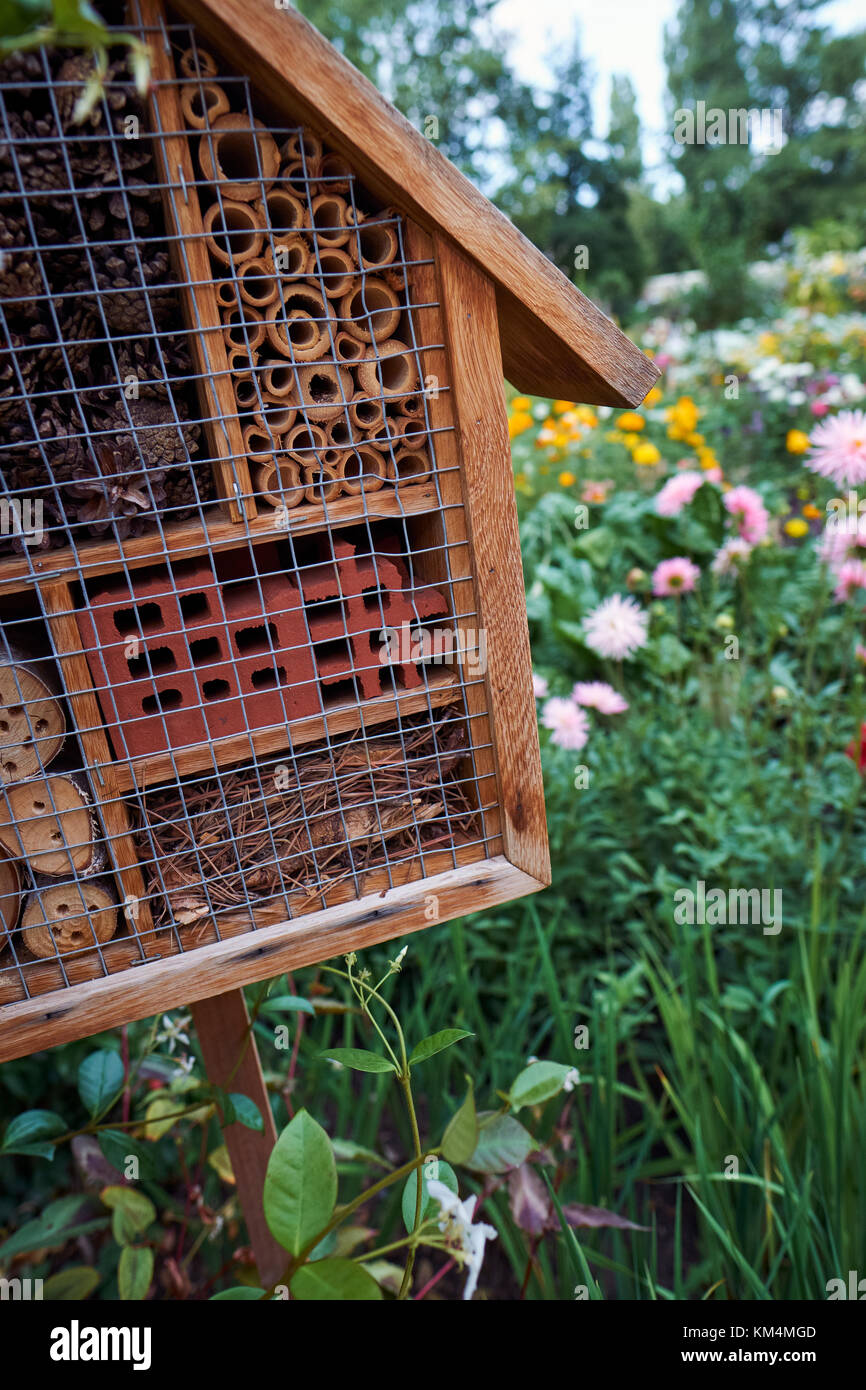 An insect hotel suitable for a variety of insects to nest or hibernate in a wildlife friendly garden, surrounded by pollen producing flowers. Stock Photo