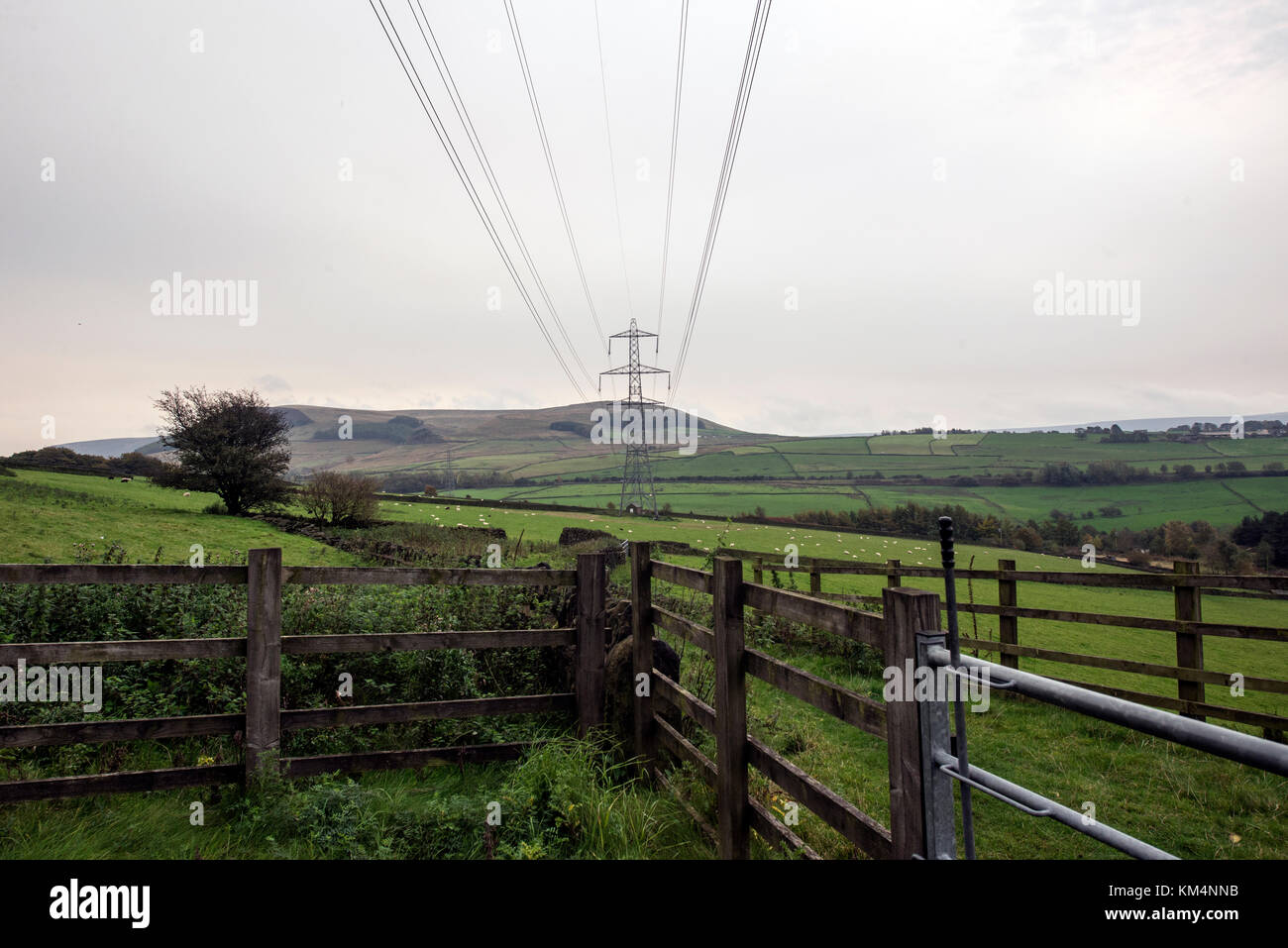 Pylons in the English Landscape on a Sunny Day Stock Photo