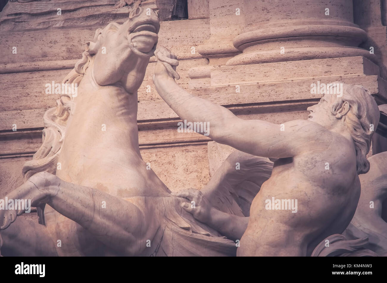 horse agitated, the Trevi Fountain. Stock Photo