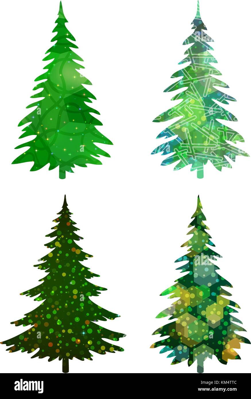 Pine fir conifer tree trees Stock Vector Images Alamy