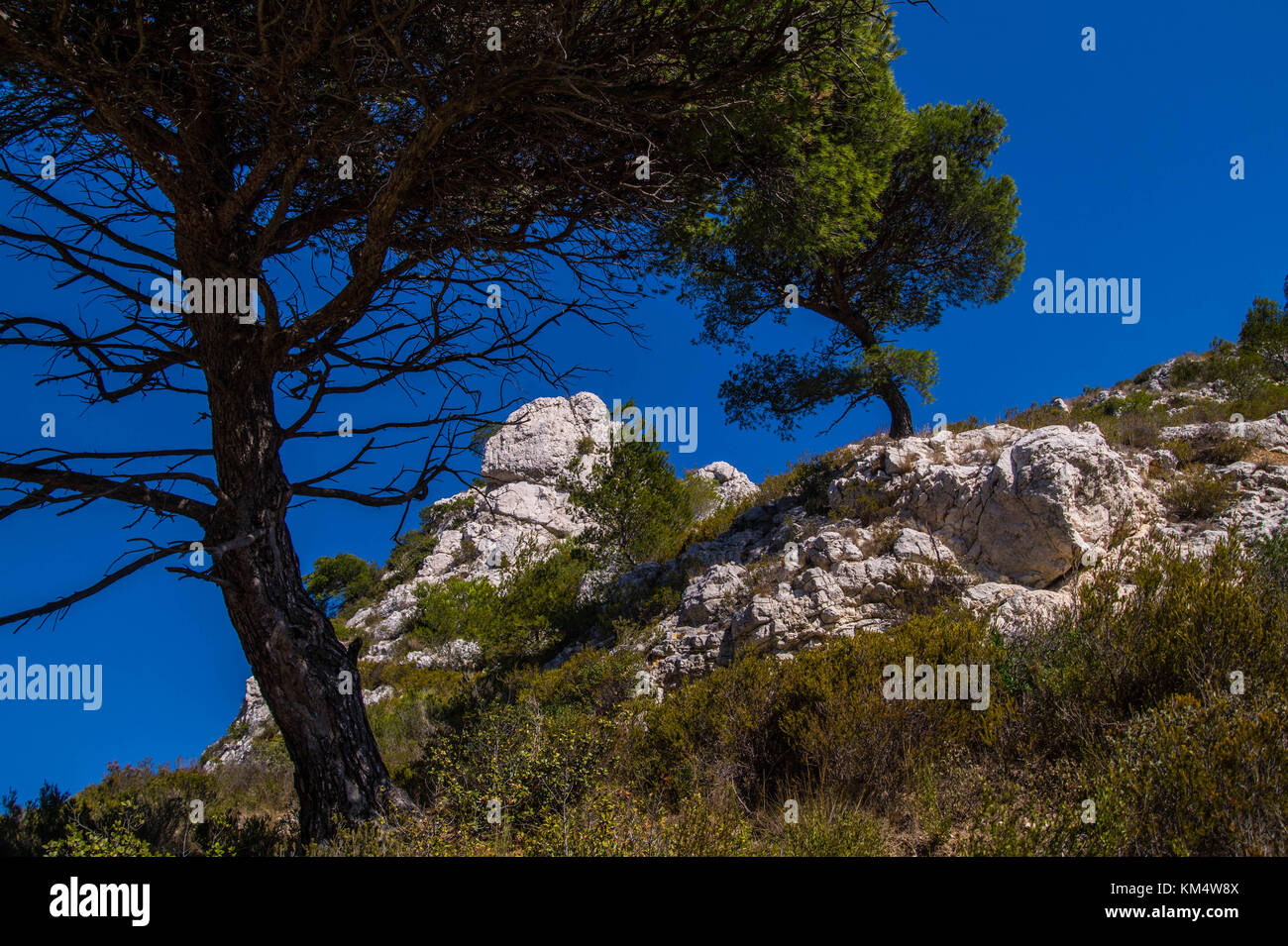 calanque de sormiou,marseille,bouche du rhone,france Stock Photo Alamy