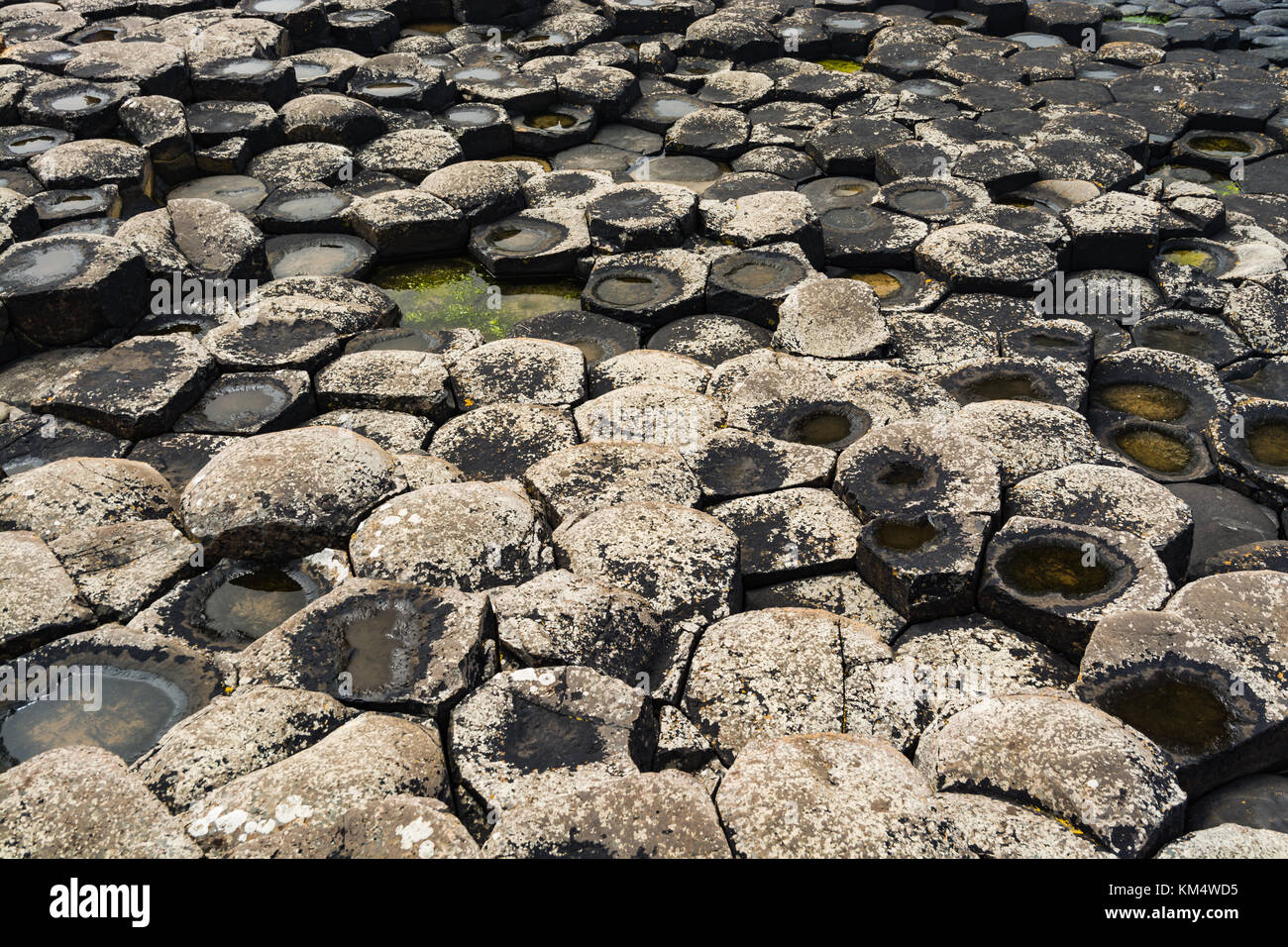Northern Ireland: Closup of the geologic columns of Giant's Causeway on ...