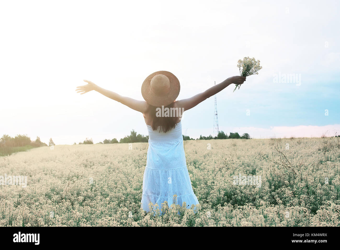 Girl in white dress in a field of yellow flowers blossoming Stock Photo ...