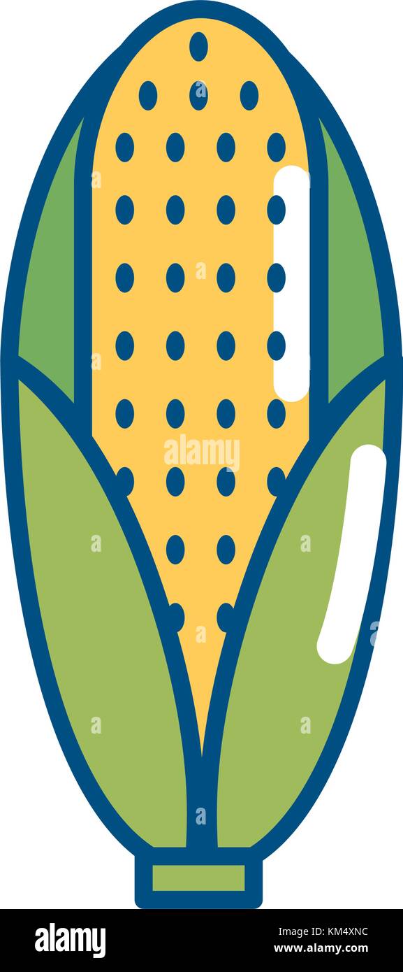 Isolated corn design Stock Vector Image & Art - Alamy