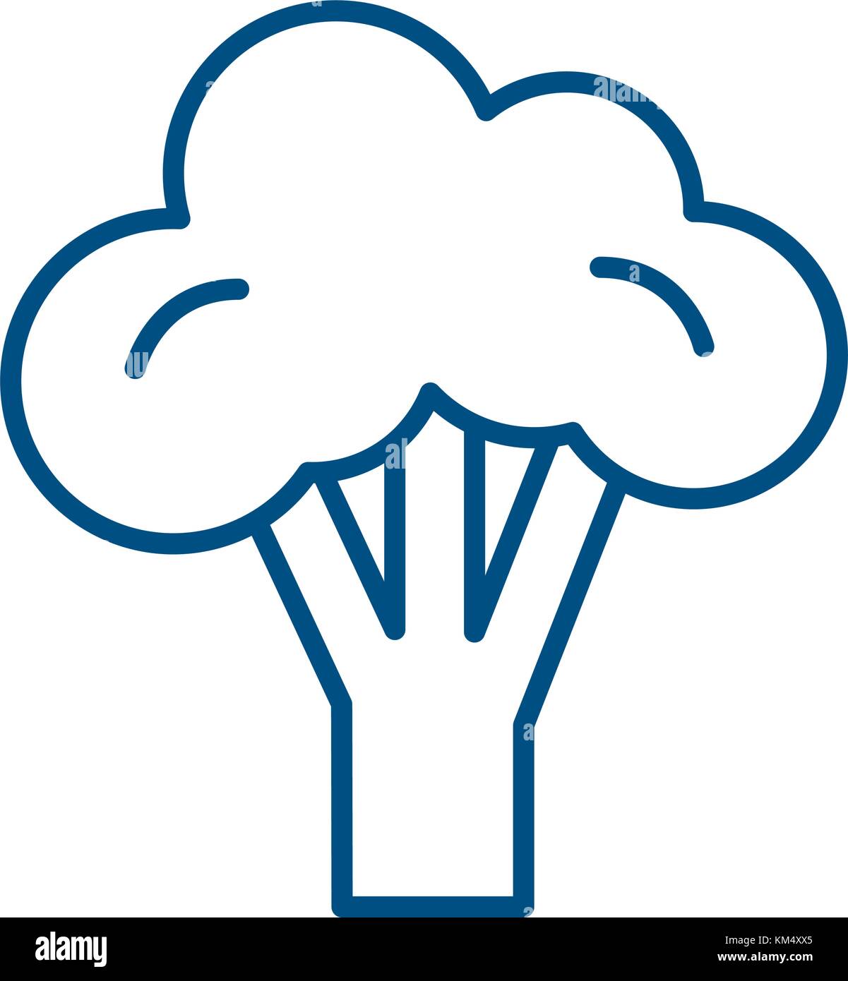 Isolated broccoli design Stock Vector Image & Art Alamy