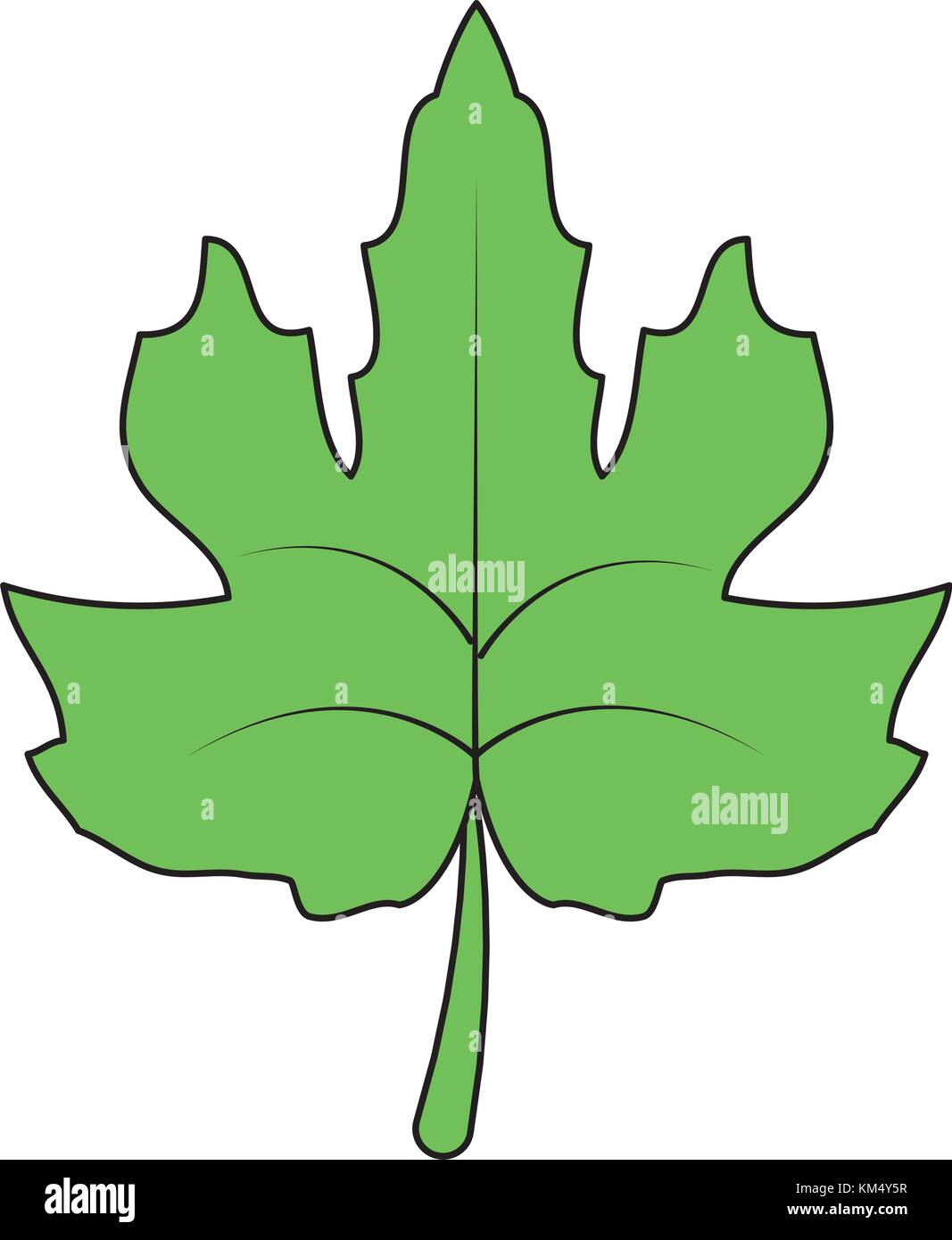 Isolated leaf design Stock Vector Image & Art - Alamy