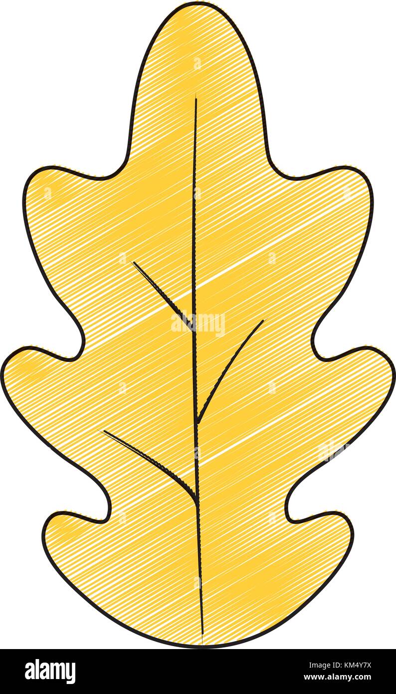 Isolated leaf design Stock Vector Image & Art - Alamy