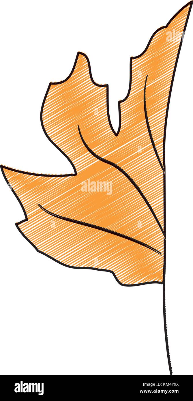 Isolated leaf design Stock Vector Image & Art - Alamy